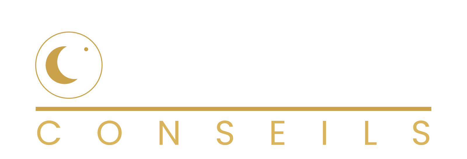 Optimum Conseils Logo